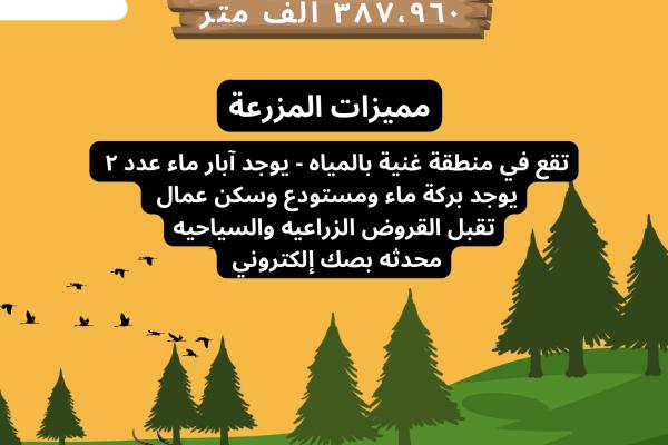 للبيع أرض زراعية - غرب القصيم - القرين