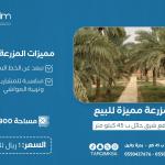 للبيع مزرعة بحرة جانين - شرق حائل - بحرة جانين